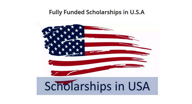Scholarships For Non Us Citizens